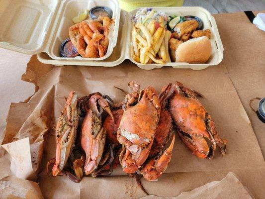 1/2 dozen blue crabs, spiced Shrimp and oyster sandwich