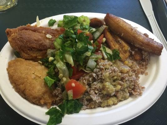 Chick Pea Patty Combo Plate