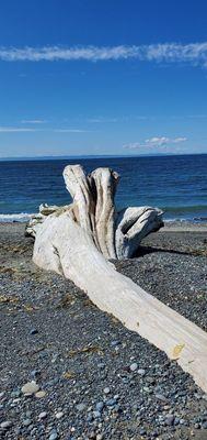 Super 8 By Wyndham Port Angeles at Olympic National Park