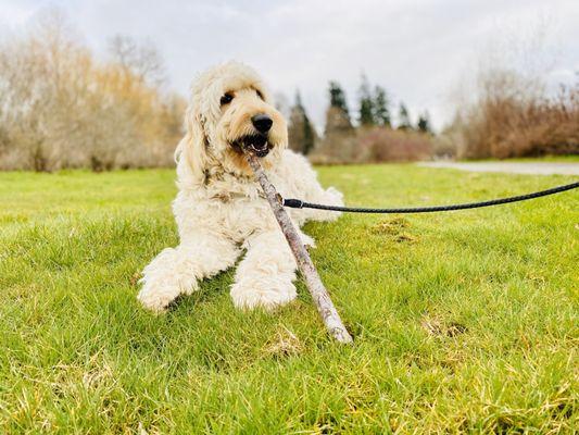 Still living that branch manager life!