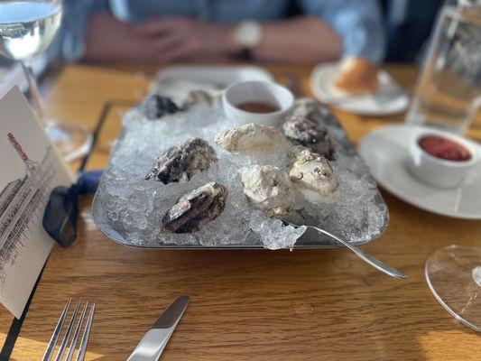 Half Dozen 1/2 Shell Oysters x 2