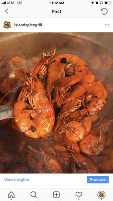 Jamaican Blazing Pepper Shrimp  swimp