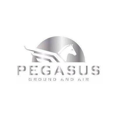 Pegasus Ground and Air