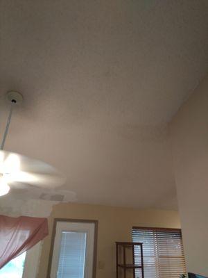 Ceiling repair