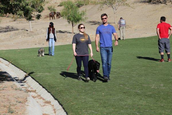 Master the walk at Cesar Millan's Dog Psychology Center