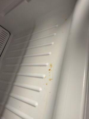 This is the freezer to the "clean fridge" they said was cleaned