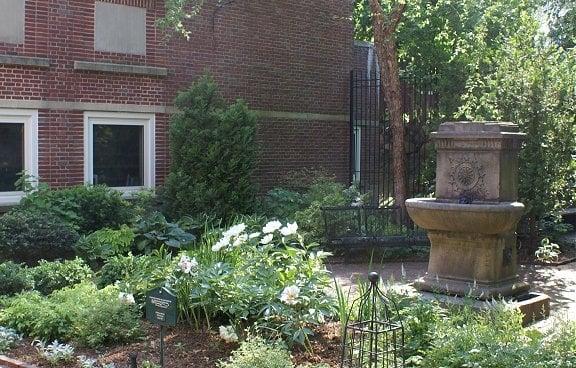 A quiet courtyard garden for reading.