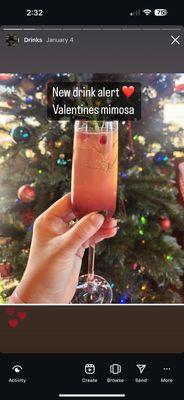 Valentines mimosa