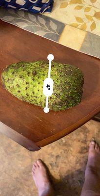 Soursop