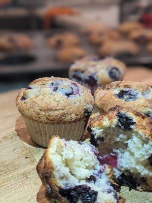 Gluten Free Blueberry Muffin