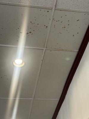 Ceiling is gross