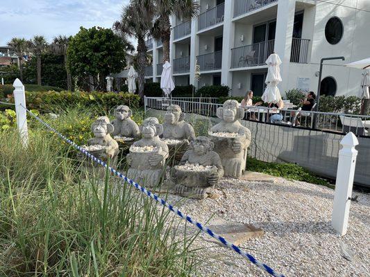 Decor in front of restaurant on beachside