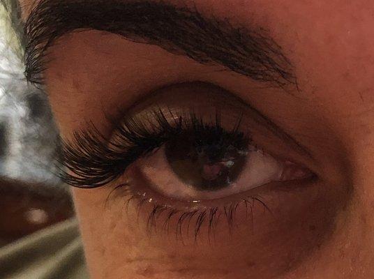 Volume lashes