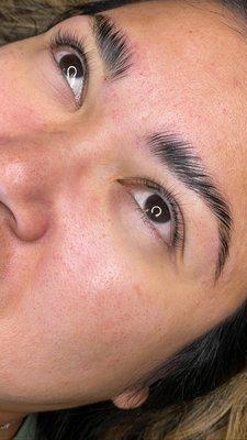 Brow Lamination & Lash Lift + Tint