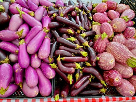 Farm grown varieties of eggplant!  8/14/2019