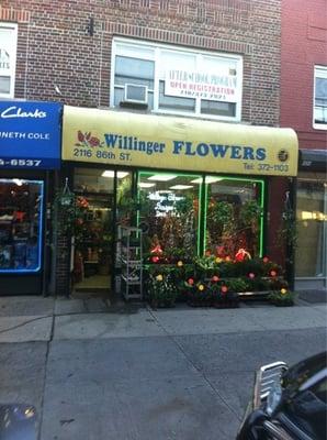 Willinger Flowers