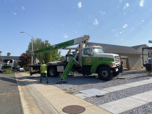 The crane that handled the job!