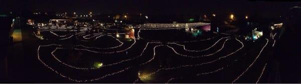 They have more then 20,000 lights. The pictures do not do justice