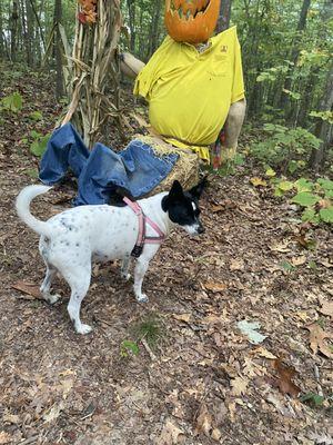 My dog along the nature trail