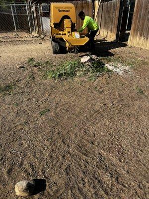 Stump grinding