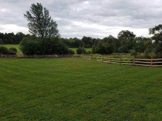 Split rail fence project