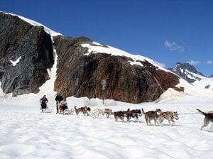 Dog Sledding on a Glacier