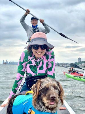 Kona the labradoodle on the 4-person Dragon SUP board on the Hudson River