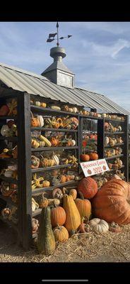 This is the pumpkin decorated house that's perfect for pictures!