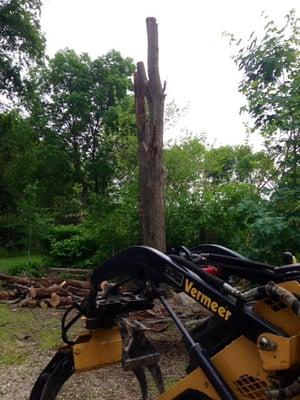 Large Elm removed over the pole barn.