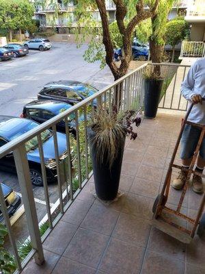 Dead flowers left on the deck for Buyers to see