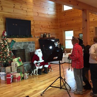 Our annual Christmas Card photo shoot to support Hollow Creek Farm animal rescue.