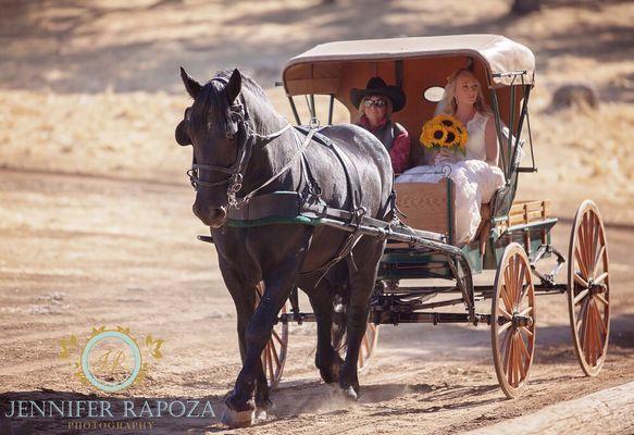 Mother Lode Ranch wedding.