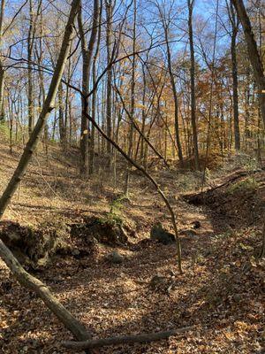 Alum Creek State Park