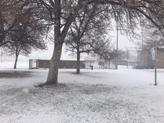 Baseballs fields