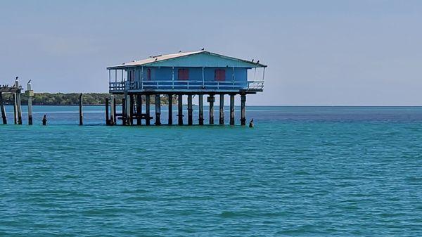 Divers Paradise Key Biscayne