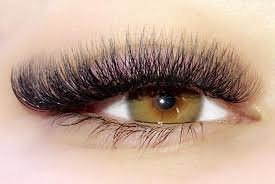 volume lashes extensions