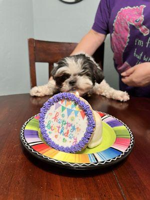 Sissy's Pet Grooming Salon