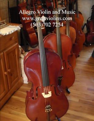 Allegro Violin and Music