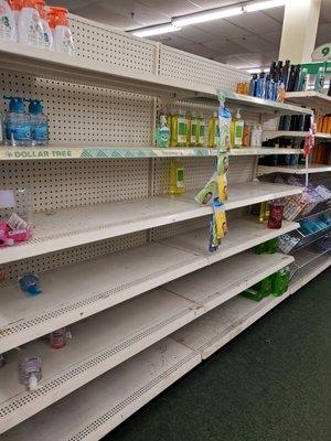 Rows and rows of mostly empty shelves throughout the store.