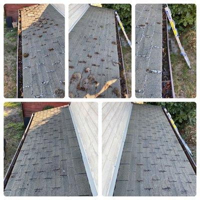 Roof cleaning and treatment