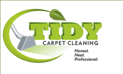 Carpet Cleaning in Santa Cruz CA