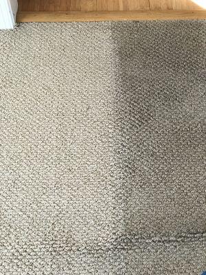 Carpet cleaning Delaware