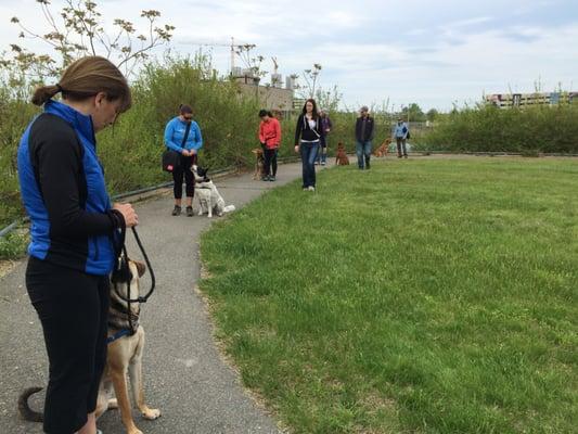 Training for real world results. Vera offers outdoor classes to help prevent and resolve all that happens on leash.