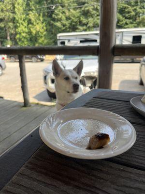 Outside dog-friendly patio