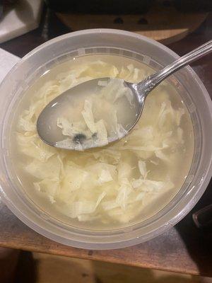 Moldy egg drop soup