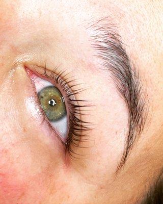 Keratin Lash Infusion & Lift