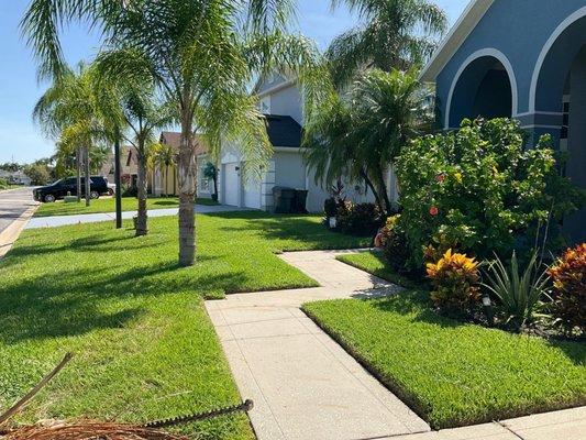 Small front yard landscaping with walkway edging and shrub maintenance.