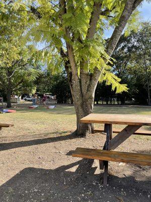 Out door picnic and corn hole