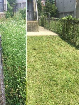 We are able to clear overgrowth. This is a before and after photo