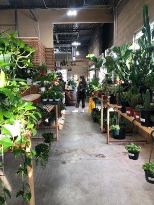 Plant store